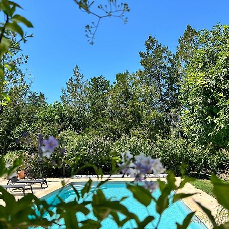 Provenzalisches Landhaus Les Martinets Am Fusse Des Mont Ventoux Villes-sur-Auzon 외부 사진